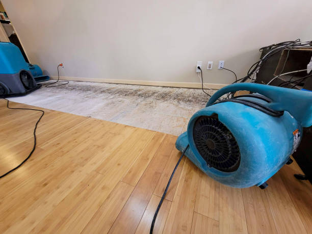 Professional Structural Drying technician working in Belmont, MA
